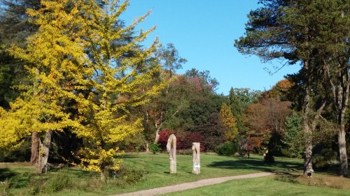 arboretum-park
