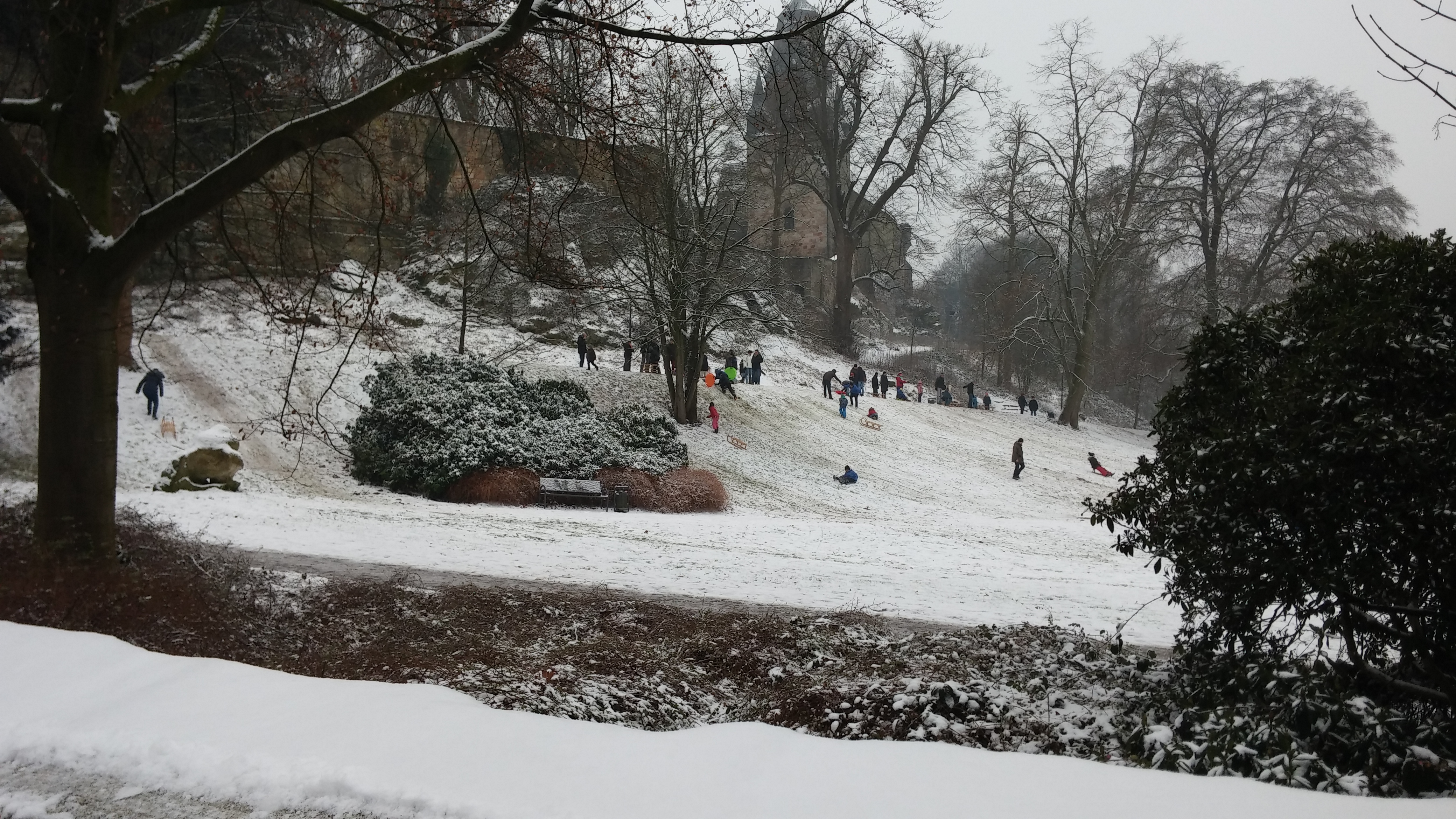 20170107_123201rodel