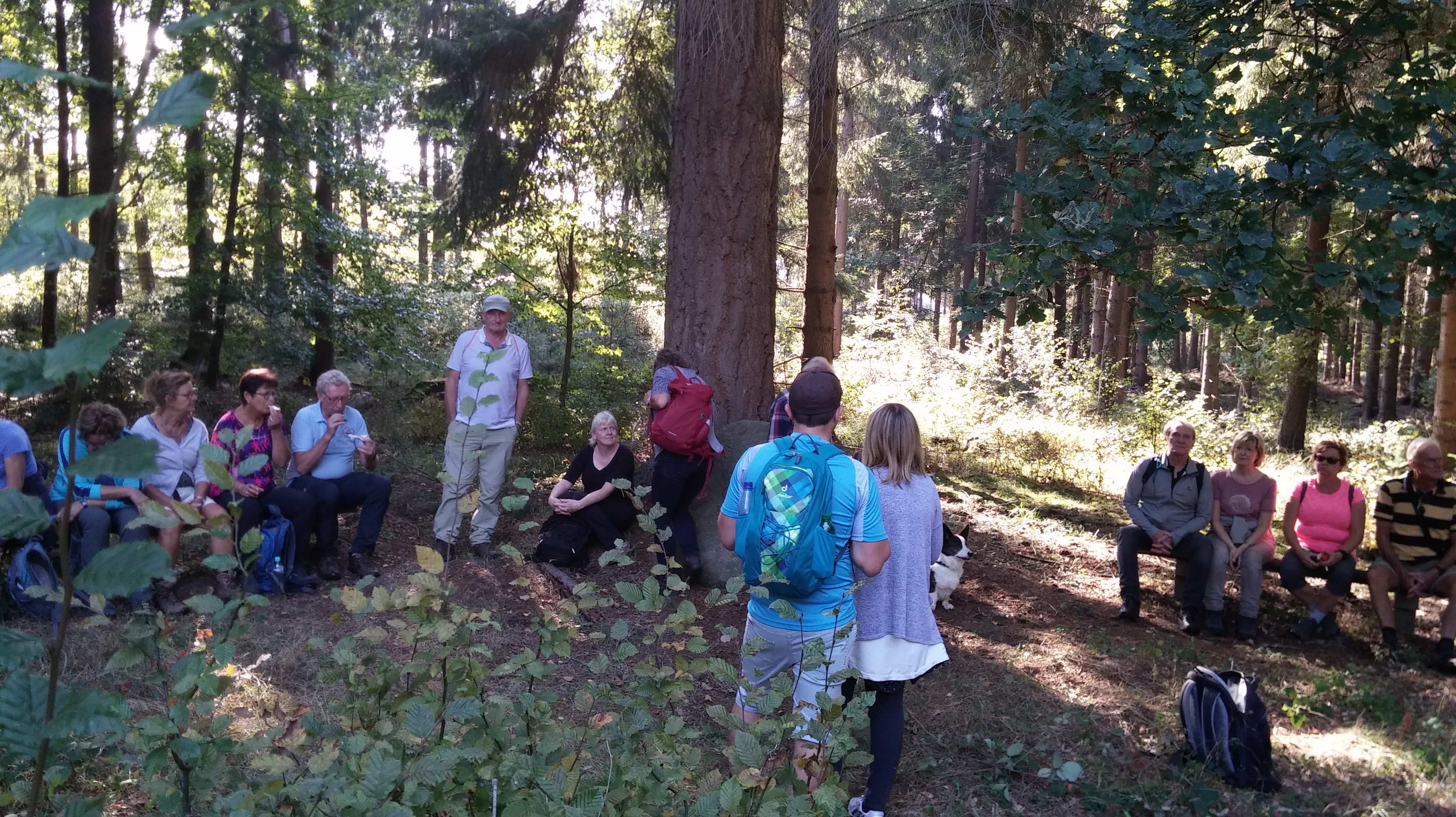 20181006_140412Fürstensteine