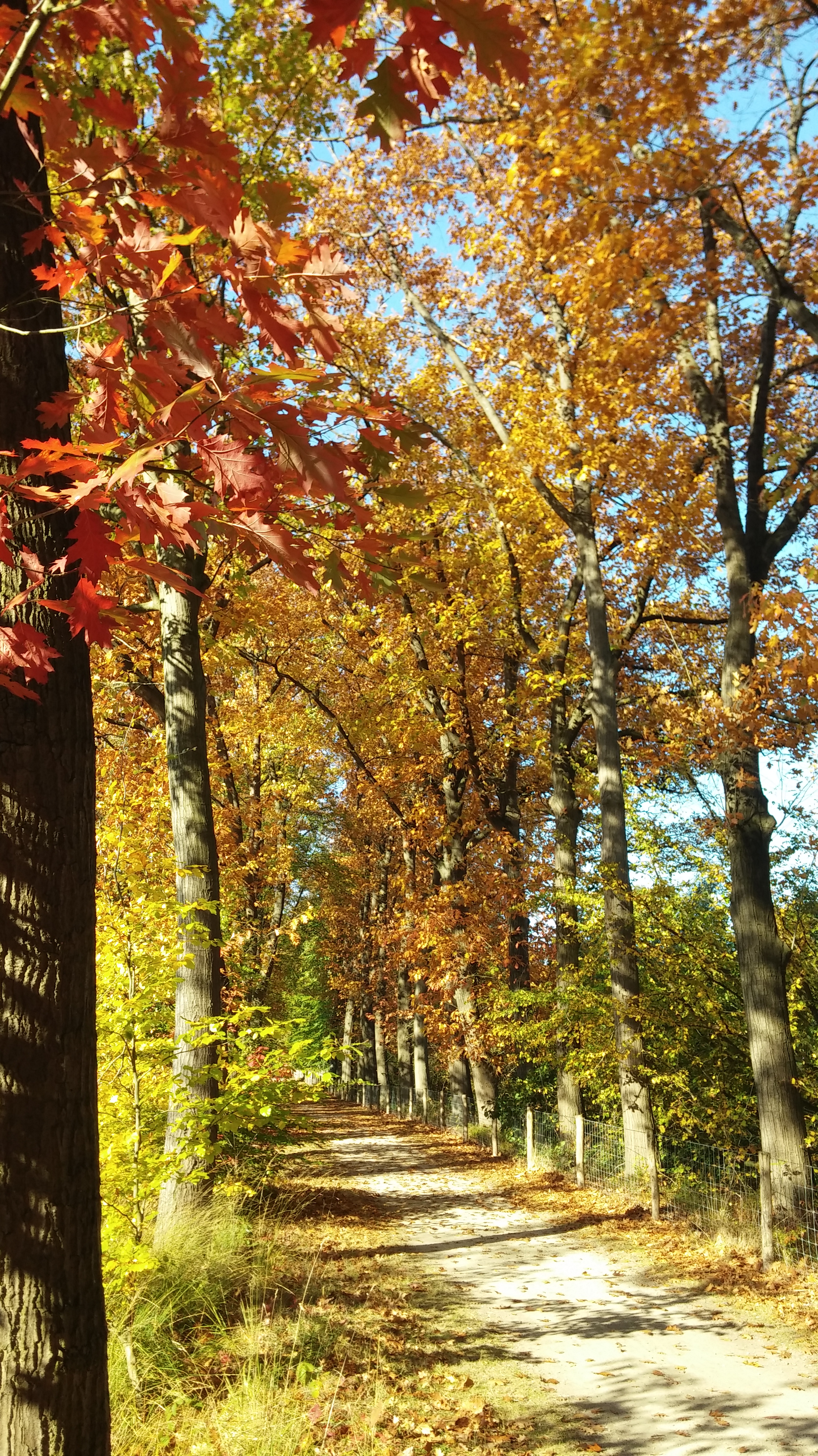 20181014_111904Ferienpark