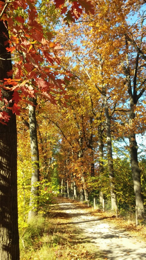 20181014_111904Ferienpark