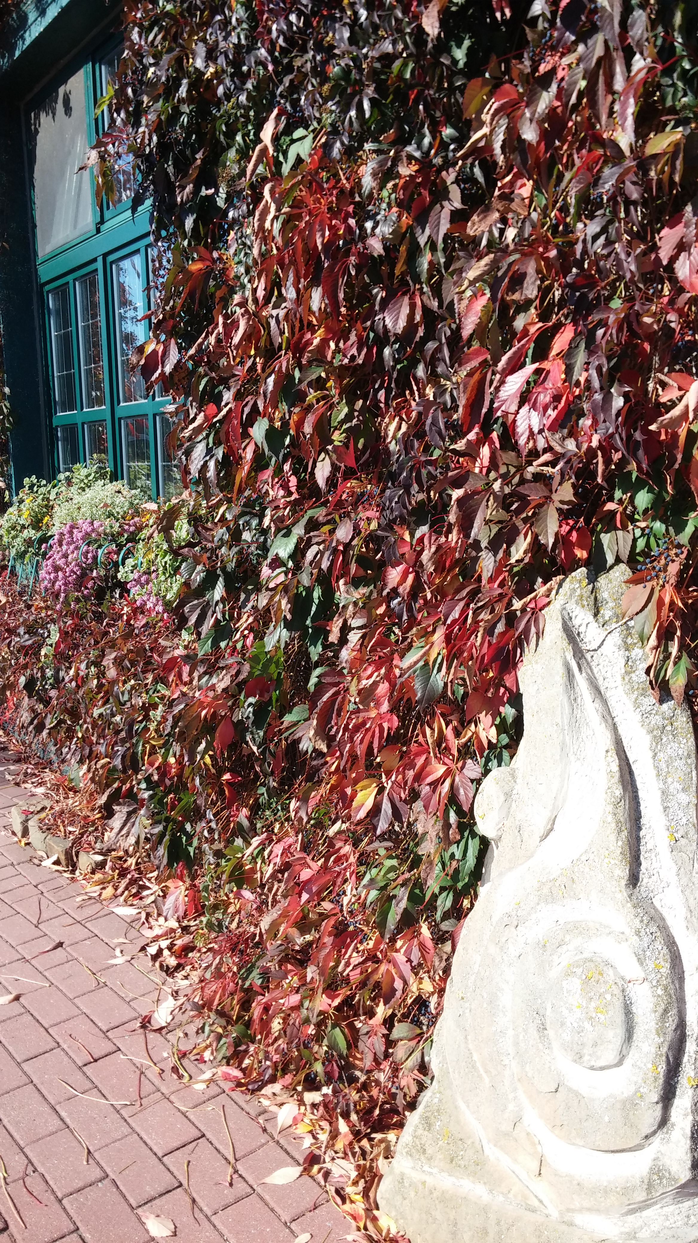 20181014_125902Tonino