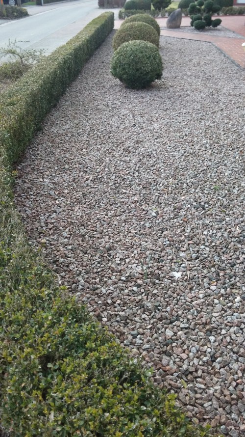 20190308_163323Vorgarten