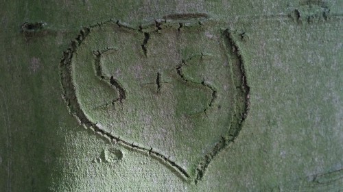 20191003_133605BaumSS