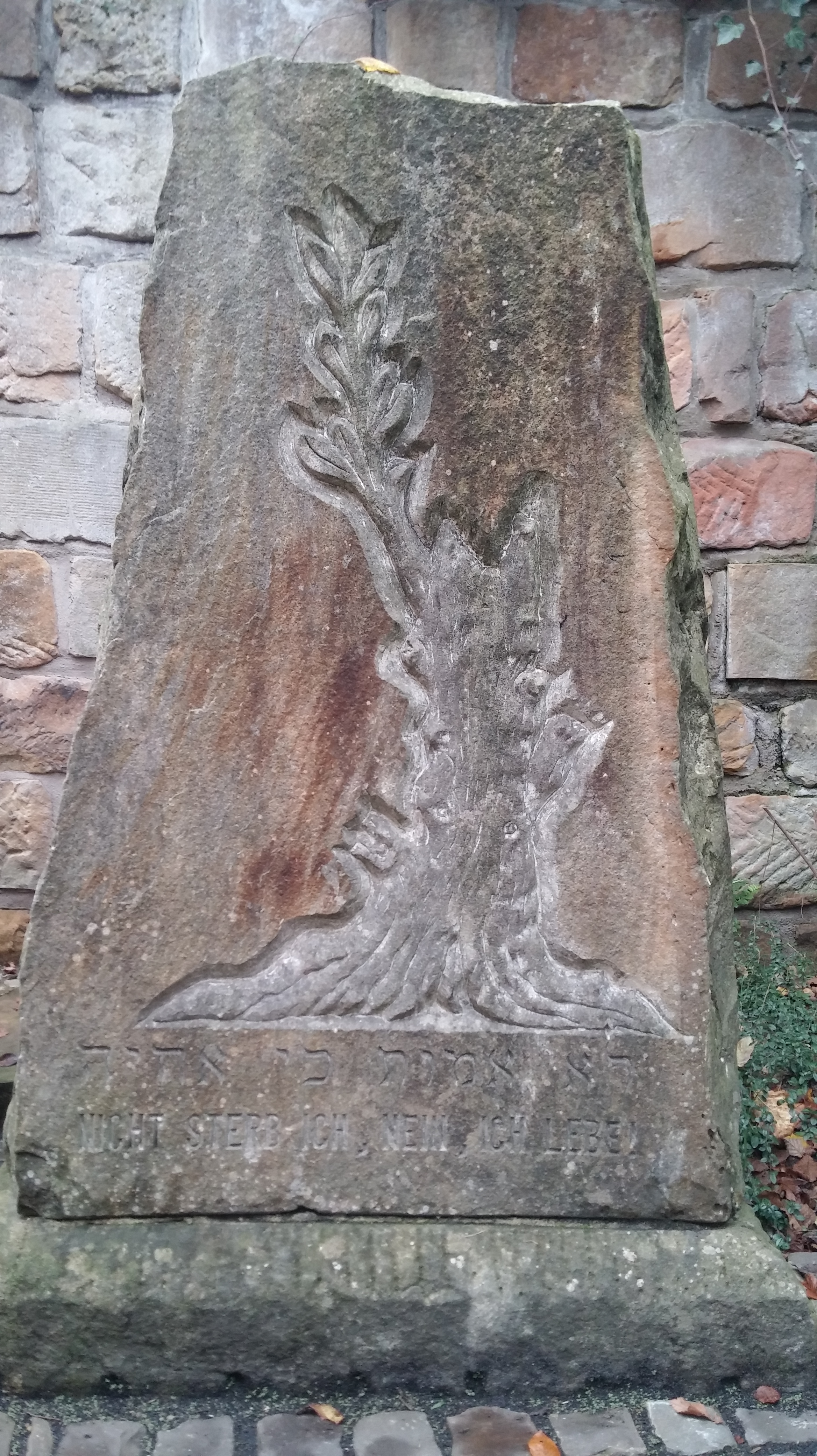 20191109_104410Denkmal