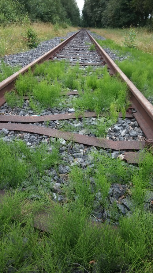 20200725_133106Schienen